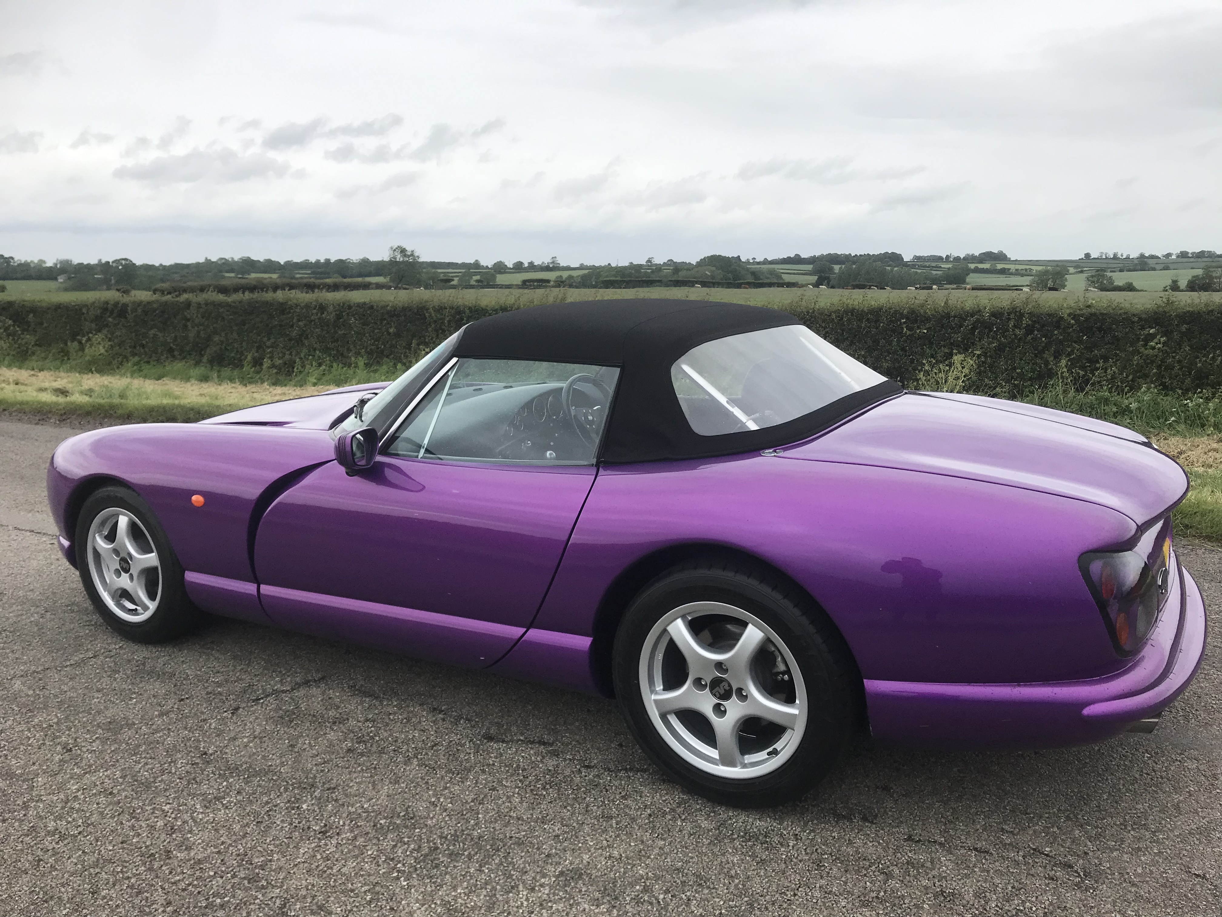 My Superficial Endeavors: Zobha Racer Capri in Perfect Purple